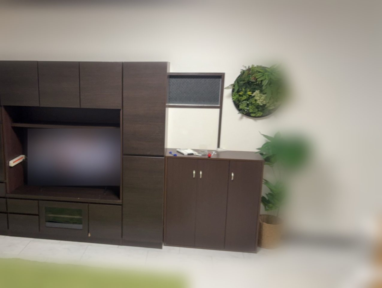 Room 303 living space with a TV cabinet and plants, in preparation